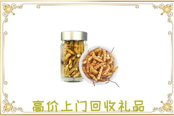 泊头周边回收虫草